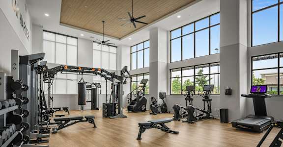 A gym with a variety of equipment including a weight bench, a treadmill, and a rowing machine.