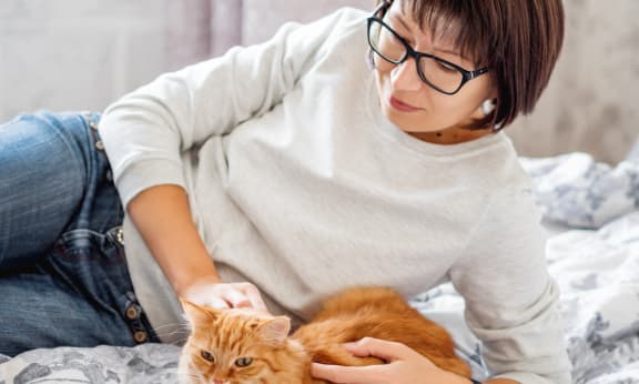 a woman is petting a cat on a bed
