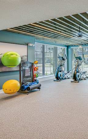 A set of dumbbells are lined up on a rack.