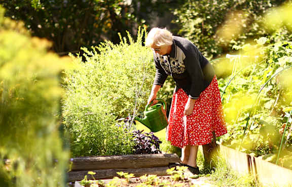 A woman in a red skirt and black top is watering plants in a garden.