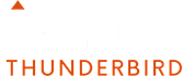 A white background with a black and orange triangle and the words "THUNDERBIRD" in orange.