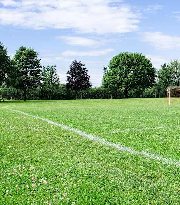 A soccer field with a goalpost on the left side.