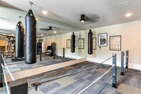 A gym with a punching bag, ropes and weights.