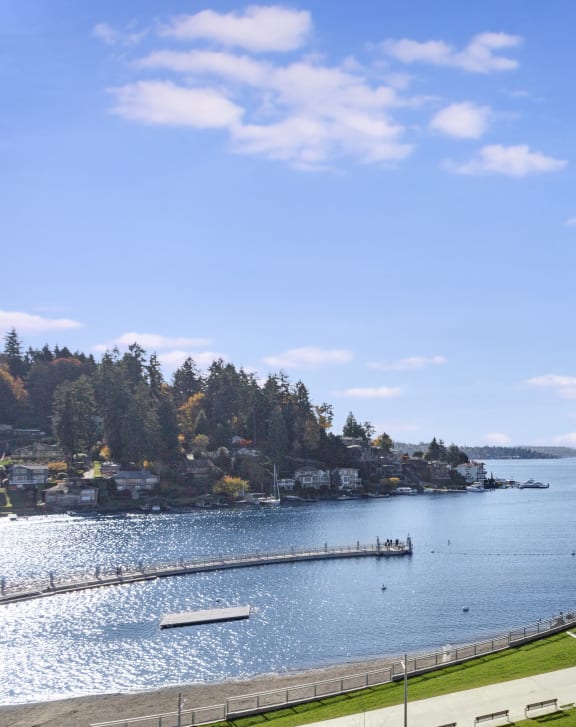 a view of a body of water from a park with trees