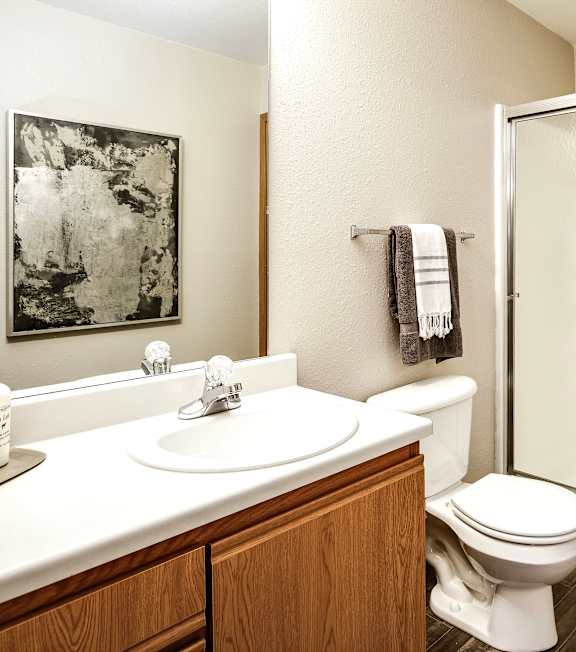 A bathroom with a sink, mirror, and shelves. at Tranquility Pointe, Omaha, 68164