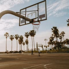 a basketball hoop in a park with palm trees