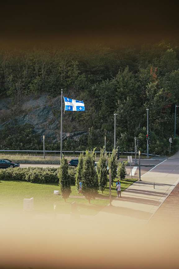 a blue and white flag on a pole in a park