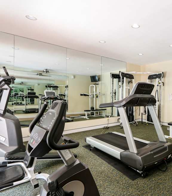 A gym with treadmills, elliptical machines, and other exercise equipment.