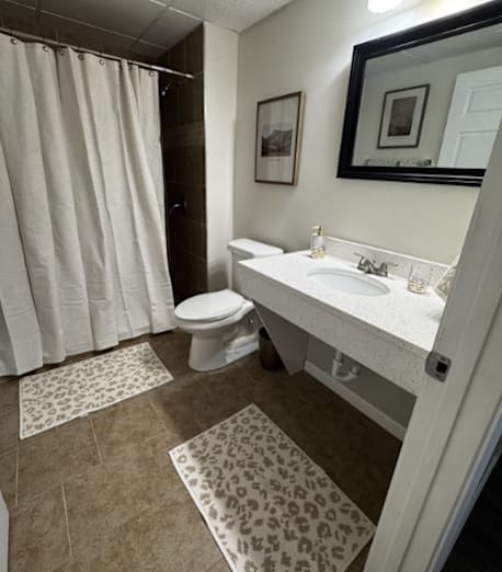A bathroom with a toilet, sink, and shower curtain.