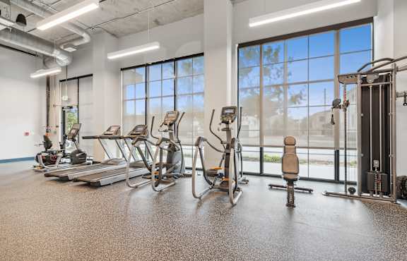 a gym with cardio equipment and windows at the district at Skylark in Savannah, GA 31401