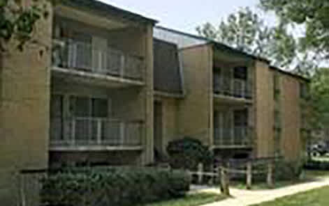 Apartment building with a green bush in front.