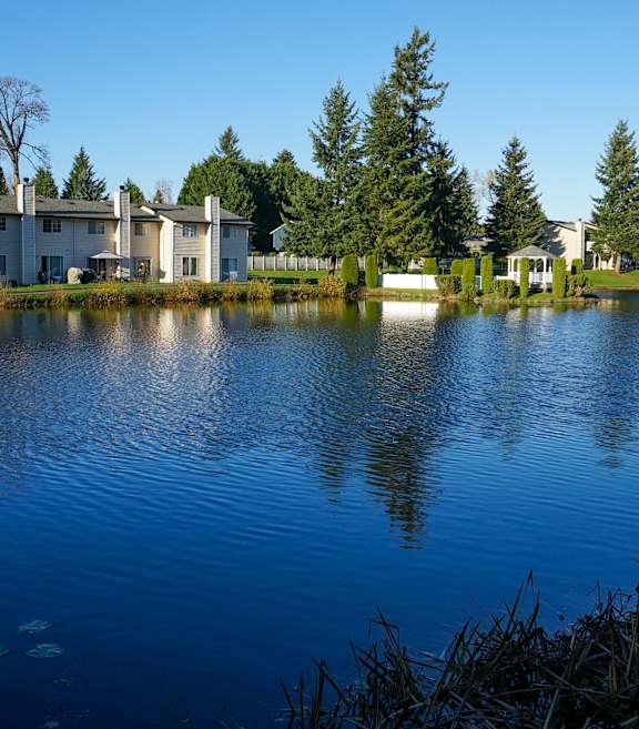 a view of a lake with apartment buildings next to it