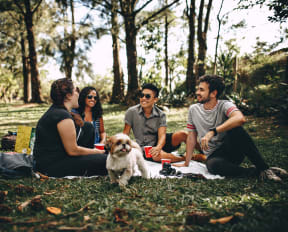 a group of people sitting on the grass with a dog