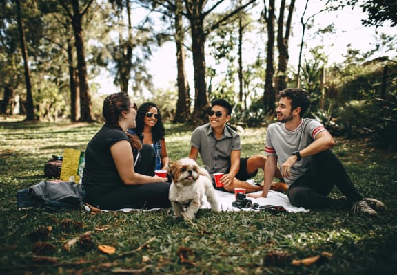 a group of people sitting in the grass with a dog