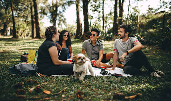 a group of people sitting in the grass with a dog