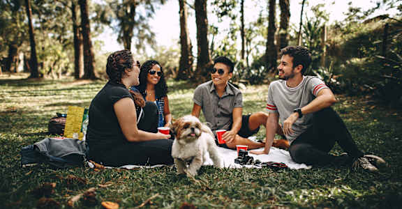 a group of people sitting in the grass with a dog
