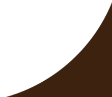A black and brown curved shape.