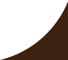 A black and brown curved shape.