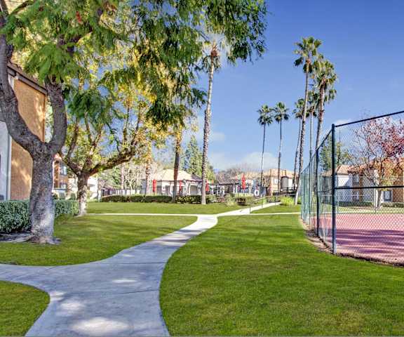 A pathway by the tennis courts surrounded by palm trees at Castlepark Apartments. 