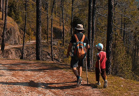a man and a child walking through a forest
