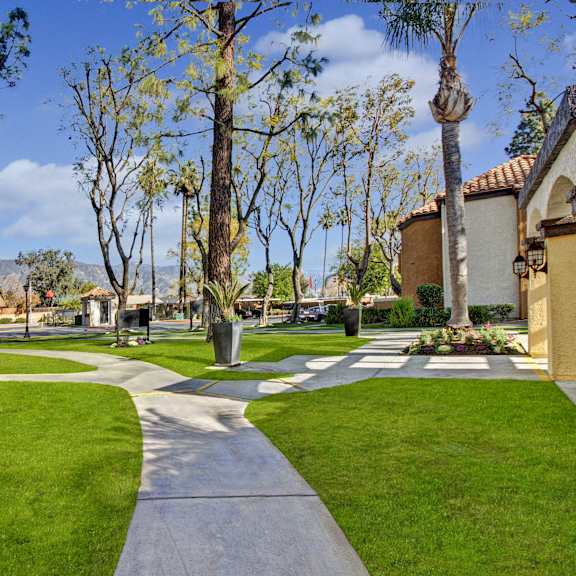The exterior of Castlepark Apartments with pathways through the green spaces surrounded by trees. 