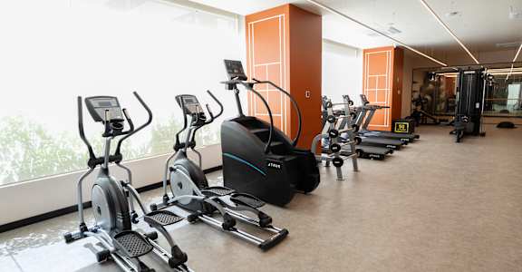 A gym with treadmills and elliptical machines.