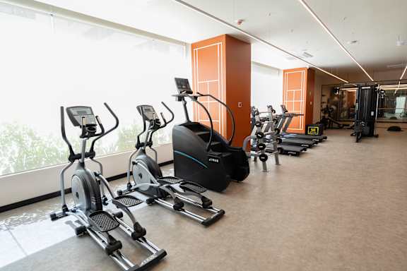 A gym with treadmills and elliptical machines.