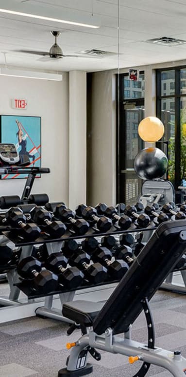 a row of weights on a rack in a gym