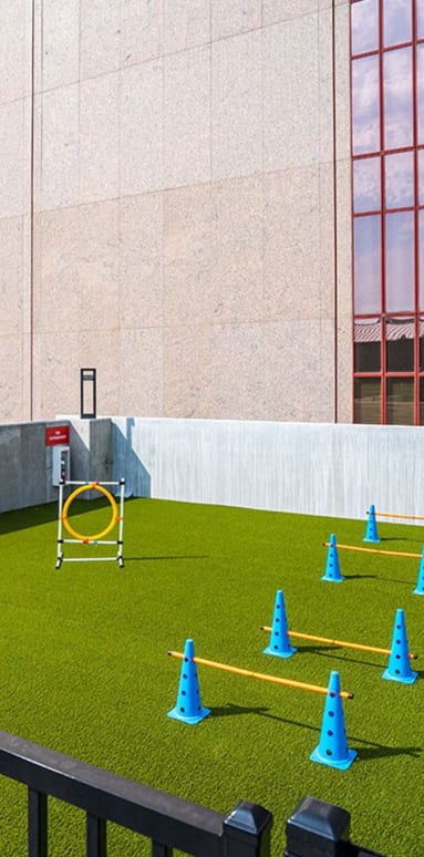 a soccer goal on a field with blue cones