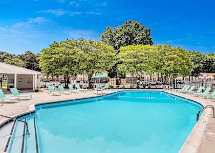 A large blue swimming pool surrounded by trees and lounge chairs.