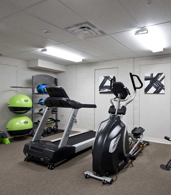 A gym room with a treadmill, exercise bike, and weights.