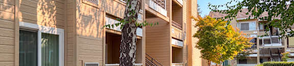 A tree in front of a building with a sign that says "111".