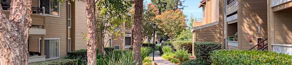 A tree-lined walkway in a residential area.