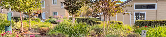 A garden with a variety of plants and trees in front of a building.
