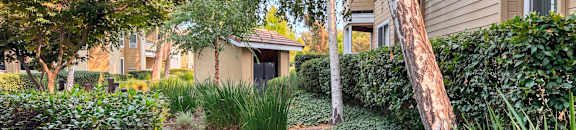 A tree trunk is in the foreground of a residential area.