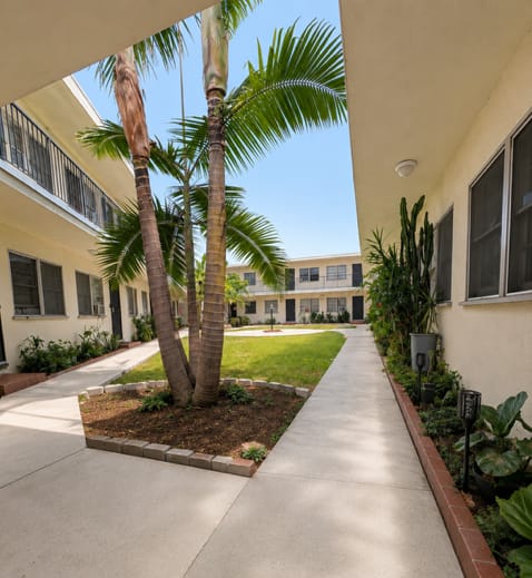 A long concrete walkway leads to a building with a palm tree in the middle.