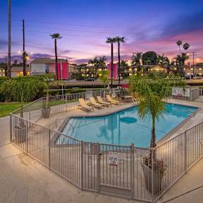 A pool surrounded by a fence with a sun lounger and palm tree.