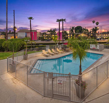 A pool surrounded by a fence with a sun lounger and palm tree.
