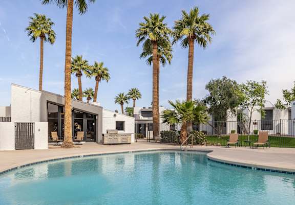 A pool surrounded by palm trees and modern buildings.