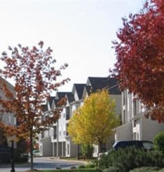 a row of houses with trees in front of them at The Sanctuary of Lake Villa, Lake Villa, IL