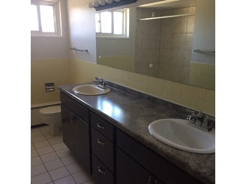8540 Niles Center Two Bedroom Bathroom