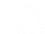Agave at South Congress