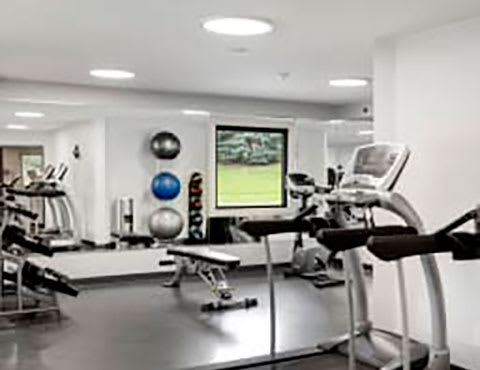Tylia's community gym with a treadmill, weights, and exercise balls