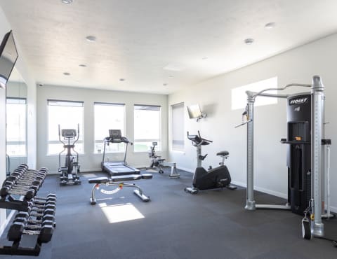 A gym with treadmills, exercise bikes, and other equipment.
