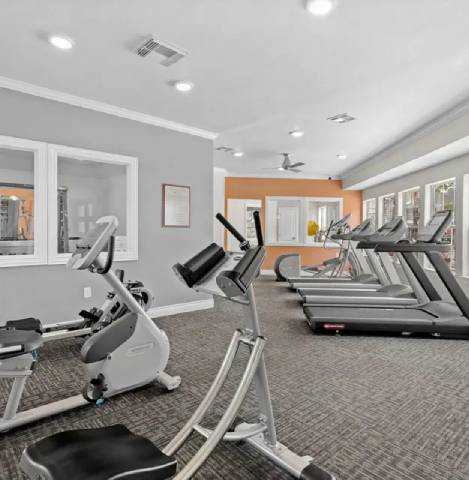 A gym with treadmills, a bench, and a weight machine.