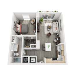  Floor Plan 1 Bed 1 Bath F