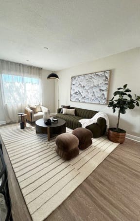a living room with a rug and a couch