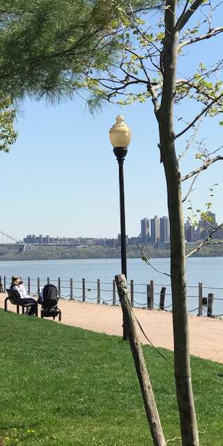 A street lamp is on the left side of a park.