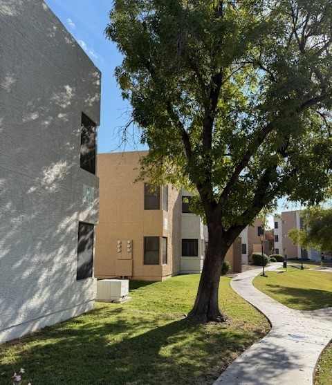 A tree is in front of a building at Ascent on Spence, Tempe, AZ