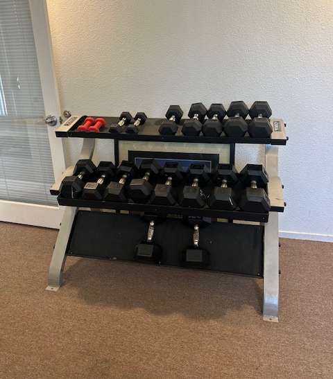 A set of dumbbells is placed on a stand.